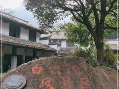 -白云源风景区