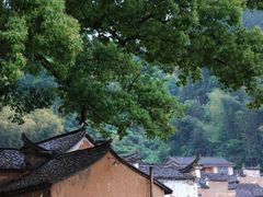 -杨家堂村