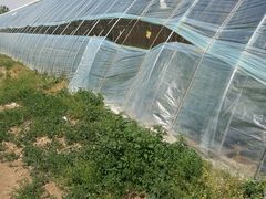 -万源龙顺度假庄园生态观光园