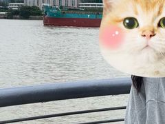 -南京路步行街