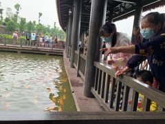 -枫香湖儿童公园