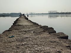 -绍兴镜湖国家城市湿地公园