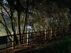 -东梓关景区村庄