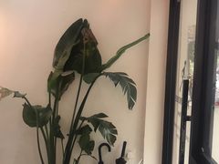 -常识咖啡common sense(春熙路店)