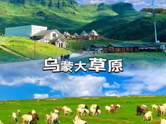 -乌蒙大草原