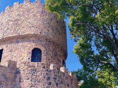 -J Create城市露营咖啡·简餐·宠物(上海动物园店)