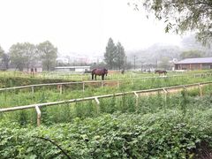 -山沟沟景区