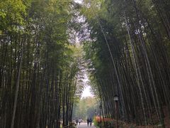 -穹窿山景区