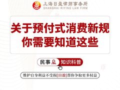 -上海日盈律师事务所·法律咨询