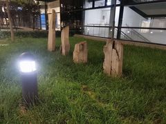 -首都医科大学附属北京天坛医院