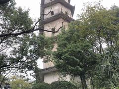 -江心屿景区