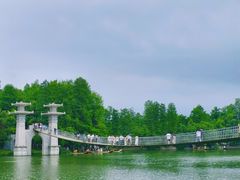 -东湖落雁景区