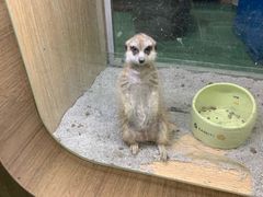 -藦茜花园宠物主题亲子互动体验馆(国顺东路店)