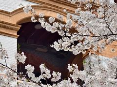 -华东政法大学(松江校区)