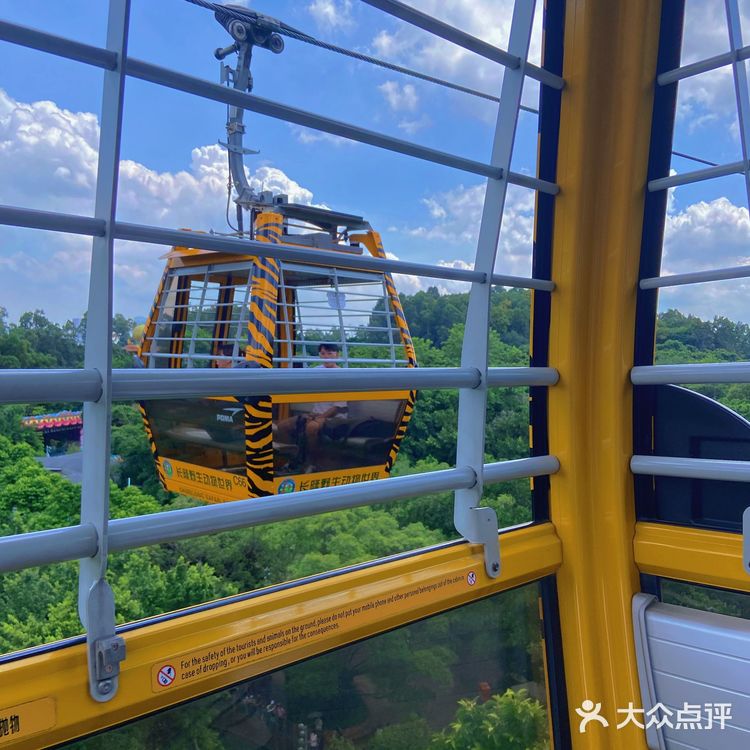 🦒长隆野生动物园游玩攻略｜拒绝踩坑❌注意事项大总结