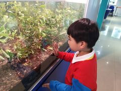 -上海昆虫博物馆