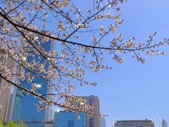 -西北湖绿化广场