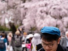 -醍醐寺