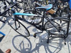 -道路口单车爱瓦士dahon大行