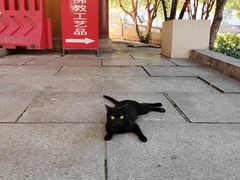 -宝通禅寺