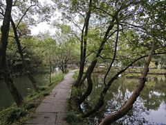 -西溪国家湿地公园