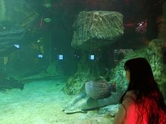 -华夏文旅海洋公园