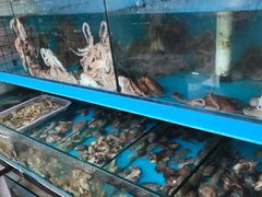 -东海章鱼馆(恒瑞街店)