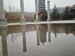 -金城公园