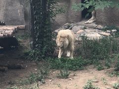 景点-北京动物园