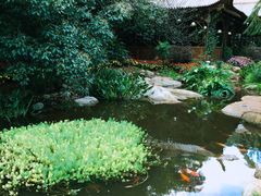 -云南民族大观园