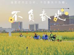-光明小镇欢乐田园