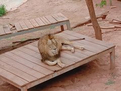 -昆明动物园