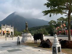 -天坛大佛