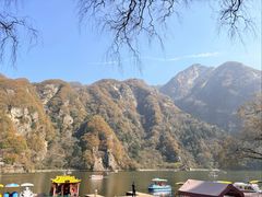 -秦岭终南山世界地质公园翠华山景区