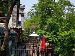 -老张烤羊(王哥庄店)