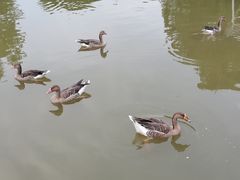 -西安浐灞国家湿地公园
