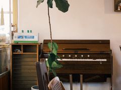 -春风十里咖啡馆