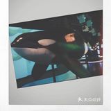 皇家bc博物馆：新的虎鲸展