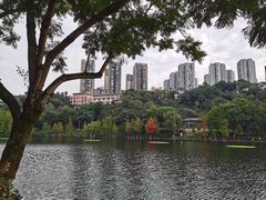 -重庆彩云湖湿地公园