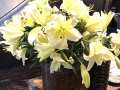 -Apollo·西班牙小酒馆(安福路店)