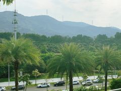 -白石龙音乐公园
