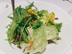 手撕盐水鸭油醋生菜色拉-Yan Ting 宴庭中餐厅(上海静安瑞吉酒店)