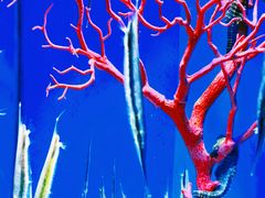 -多彩贵州城极地海洋世界