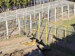 -青藏高原野生动物园