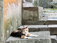 -雨花胜境