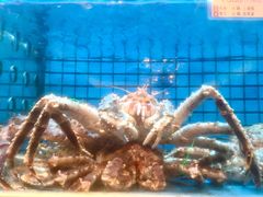 -协成海鲜火锅(情侣路店)