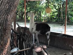 -深圳野生动物园