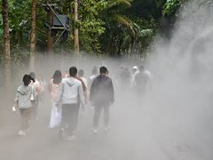 -西双版纳原始森林公园