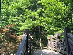 -白马涧龙池景区