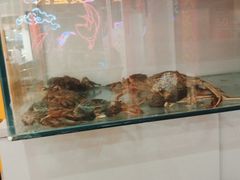 -徐记小怪兽肉蟹煲(中央大街店)